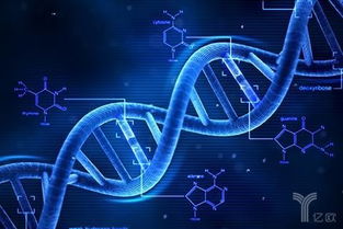 基因編輯新銳 會(huì)是下一個(gè)華大基因嗎？