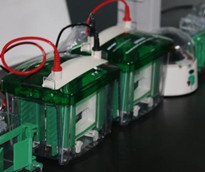 實(shí)驗(yàn)交給威斯騰，科研從此無(wú)憂——腺病毒實(shí)驗(yàn)技術(shù)服務(wù)詳解