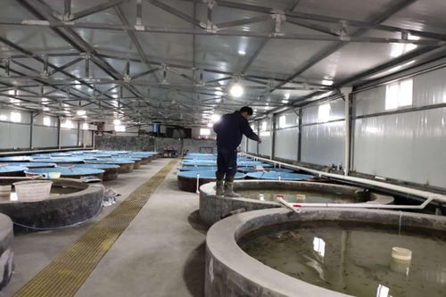 陜西省搶抓春季漁業生產機遇 全力推進畜牧漁業飼料供應保障