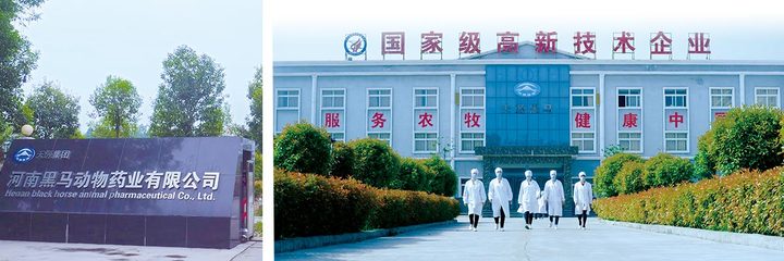畜牧漁業飼料 產業支撐與綠色發展的關鍵
