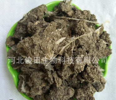 農業全產業鏈縱覽 從農田到餐桌的多元生態