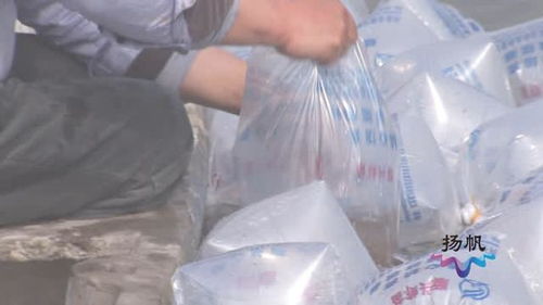 揚州市春季漁業生產全面展開，漁業專家線上答疑解惑助力飼料與水產養殖高質量發展