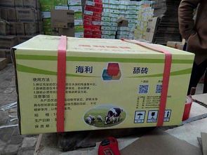 新型標準型羊添磚 提升牲畜福利與養殖效率的十大利好